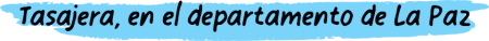 1c